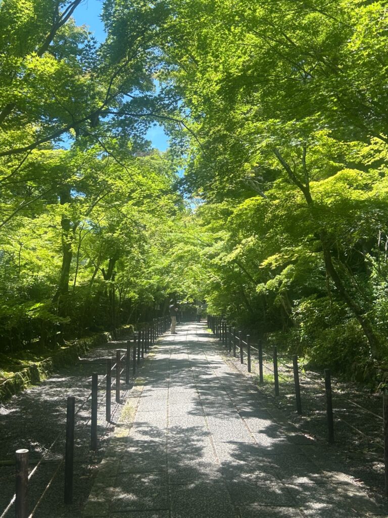 光明寺